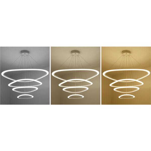 2 Rings Modern Decorative 26W 43x25cm Ring Pendant Light Fixture