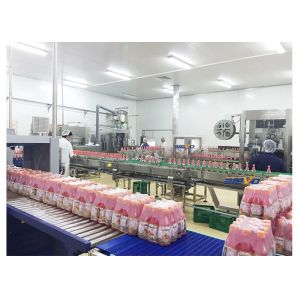 5000-6000bph Bottle Juice Packaging Machine With Small Scale