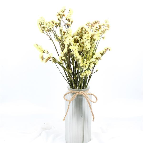 Buy Statice Limonium Beautiful Dried Flowers Beautiful With Long Using Time at wholesale prices