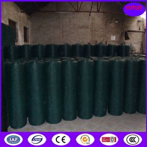 Quality Plastic Chicken Wire Mesh for sale