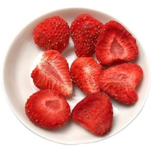 45kw Commercial Freeze Drying Machine 200kg Automatic Freeze Dried Food