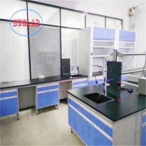 Excellent Chemistry Lab Workbench Factory DTC105 DEG Hinges Multiple Cabinets and Customer Service for Your Lab Needs