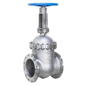 Ordinary Temperature Wedge Gate Valve Z41H with Flanged API Coc/ISO/CE Seal