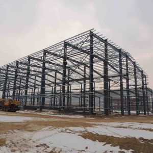 Prefab Warehouse Building Steel Structure Painted Surface Treatment