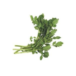 Nasturtium P.E./ Watercress Extract, stop coughing, diuresis, beneficial to