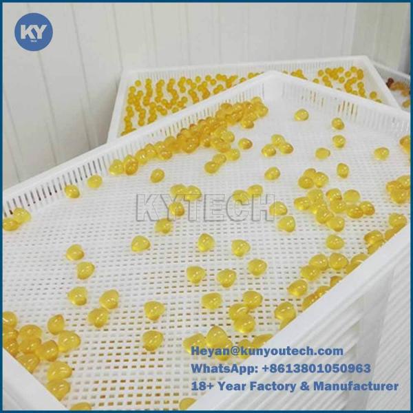 PP Food Grade Plastic Drying Tray 758x608x40mm