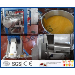 Fresh Pineapple / Mango Juice Processing Plant With Can Packaging Machine