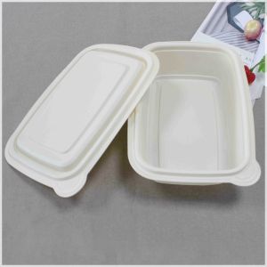 Disposable Takeaway Lunch Box With Lid Made Of Bioplastic, Factory Offered Corn