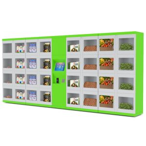 Automated Refrigerator Food Vending Lockers Different Size Doors for Street /