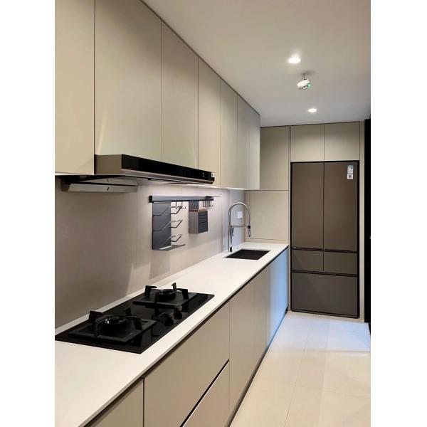 Wholesale Custom Panel Lacquer High Gloss Pet Design Modern Kitchen Cabinet