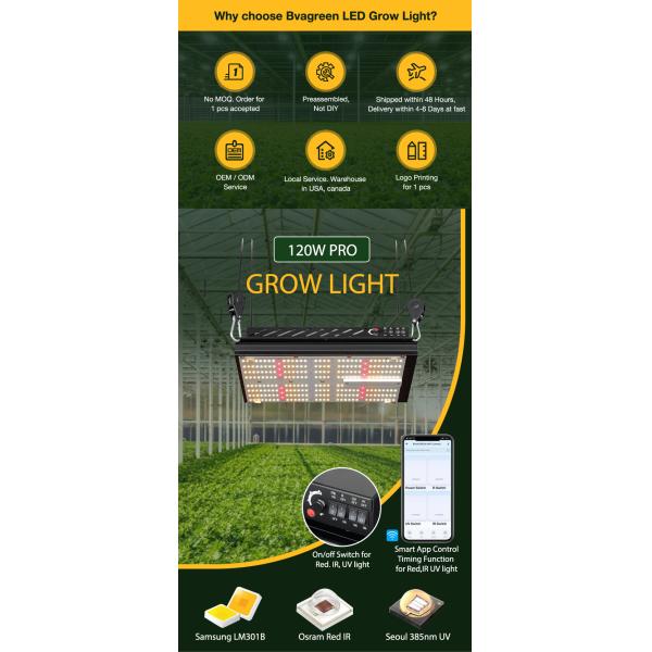 3000K 5000K LM301B Quantum Board 120W Samsung Indoor Garden Led Grow Lights