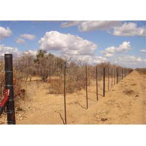 Quality chain wire chainlink wire custom gridchain link fence,chain link fence is made of high quality hot-dip galvanized (or PV for sale