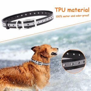 TPU Waterproof Dog Collars With Buckles Adjustable Replacement Strap Soft Belt