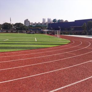 Gym Slipproof Synthetic Sports Flooring Flexible All Weather Durable