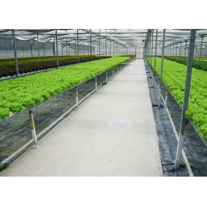 Heavy Duty Windproof Commercial Hot Houses Reinforced Plastic Greenhouse