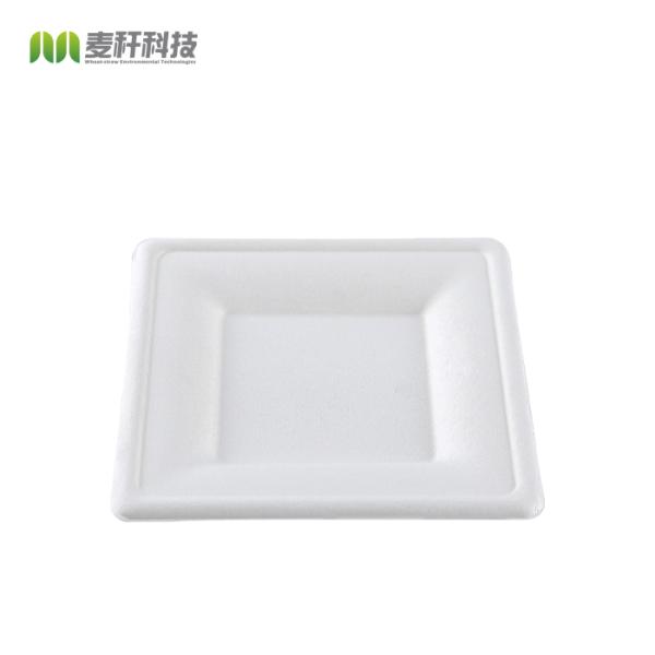Eco-friendly Disposable Degradable Sugarcane Bagasse Box&Clamshell Tableware(Box,Bowl,Plate,Tray,Cup)