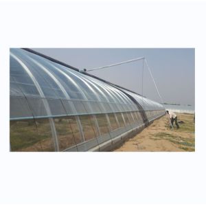 China Single Layer Brick Wall Solar Greenhouses 8m-16m Width With Insulation Blanket on sale