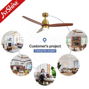 Natural Wood Blade DC Motor Remote LED Ceiling Fan For Home Hotel