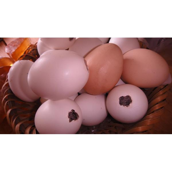 Sapindus handmade soap, Sapindus soap, Handmade soap, Natural soap, Handmade