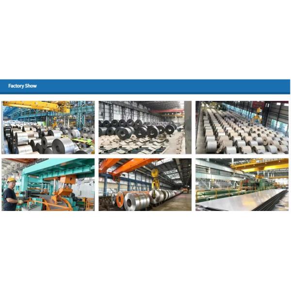 High Quality Hot/Cold Rolled Supplied by Carbon Steel Coil