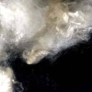 PSF Polyester Staple Fiber For Clothing Winning