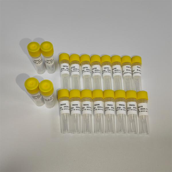 Transposase Library Construction Amplification Primer TN Primer Index List-A K211-A