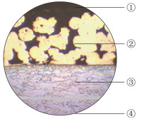 Sheet Composite Strips | Standard Dimensions