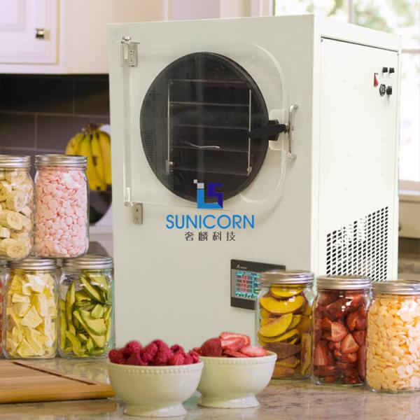 0.1 Square Meters Vacuum Freeze Drying Machine , Home Mini Freeze Dryer