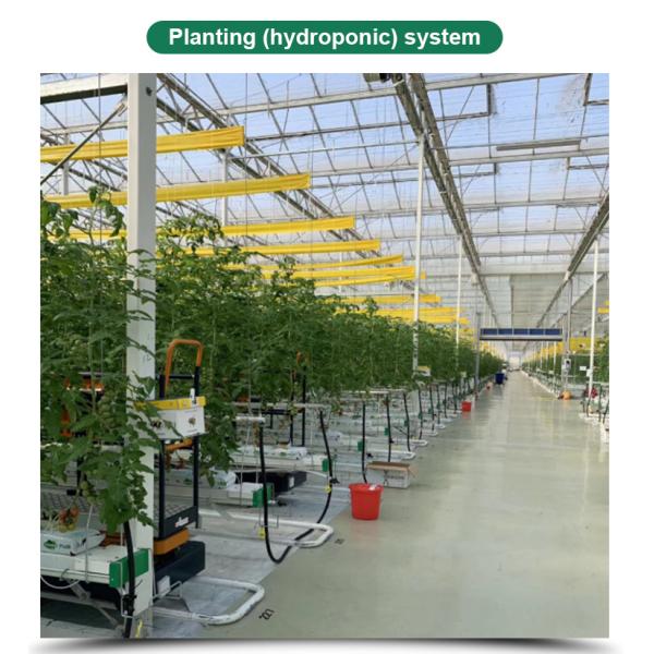 High Yield Three Layer Glass Greenhouse for Optimal Plant Growth and Vegetable Farming