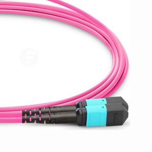 OM1 OM2 OM4 Multimode MM MPO MTP Trunk Cable