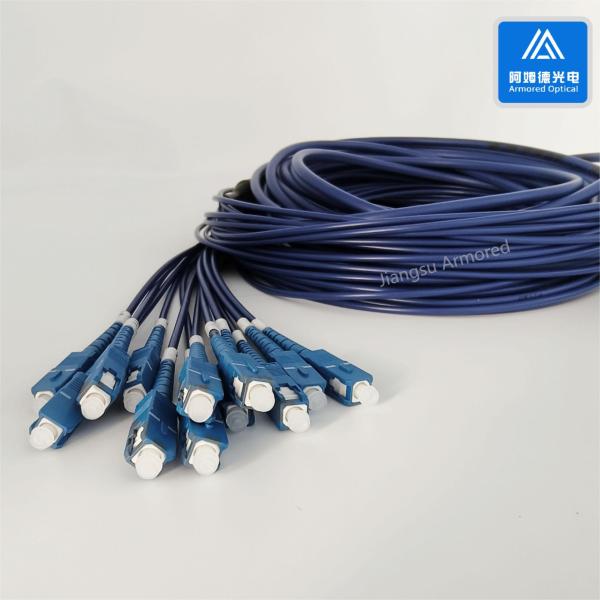 12 Cores Stainless Steel Armored Patch Cord SC-SC-30m Blue PVC 5.0mm Rodent Resistant