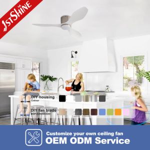 Modern Ceiling Fan 48'' Plastic Blades DC Motor Dual-Function Model with