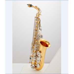 High Quality Brass Instrument Cheap Blacknickel Alto Saxophone JYAS102BNMT
