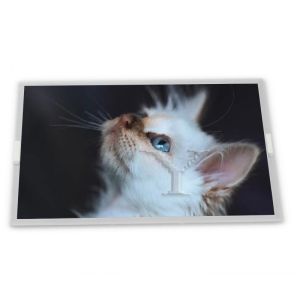 and good 19.0-Inch G190ETN01.0  WLED LCD Display Module Customizable 1280*1024 Resolution  Modules