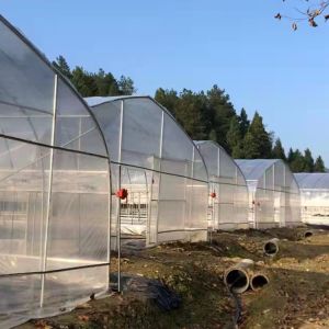 Commercial Greenhouses Plastic Sheet Greenhouse Film For Plant Growing