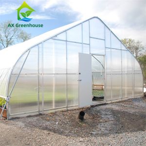 Economical 200 Mircon Polyfilm Walk In Tunnel Greenhouse For Tomato