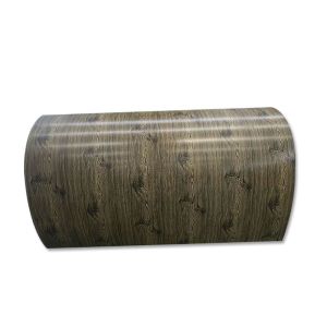 ID 508MM Ral Standard Color Coated Prepainted Steel Coil Coated Coil