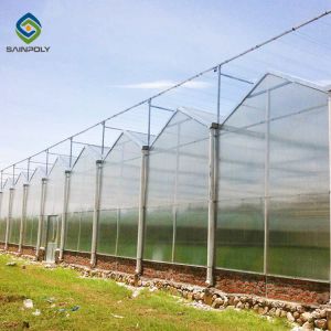 Exhibition Multi Span Polycarbonate Plastic Greenhouse