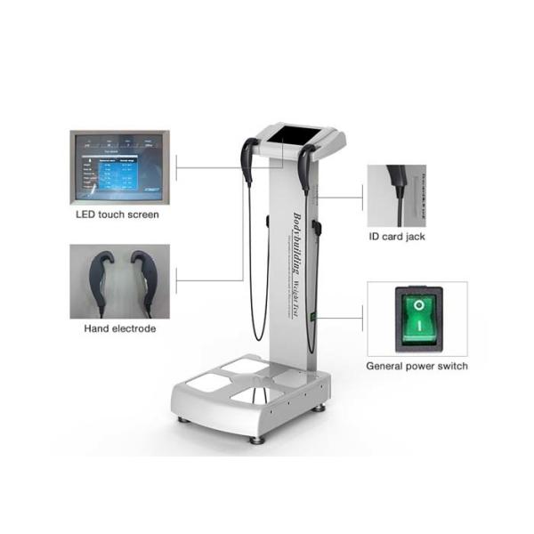 Buy ABS Plastic Digital Scale Body Analyzer Bioimpedance Muscle Protein Analysis at wholesale prices