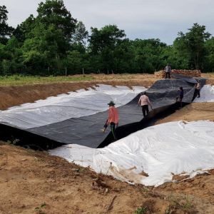 Ground Fish Farming Liner Geomembrane Aquaculture Pond Tanks for Fish 50m-100m