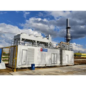 Low Emission 2000kw 2mw 2500kva Natural Gas Biogas Generator Set for Factory