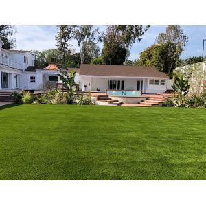 Green Color Indoor Plastic Lawn Landscaping Synthetic Artificial Turf Carpet
