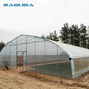 Plastic Covering Polyethylene Film Greenhouse / Single Span Tunnel Flower Power
