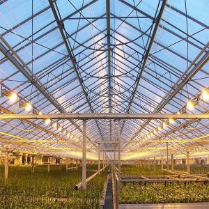 Horizontal Vertical Metallic Single Span Greenhouse Solar System