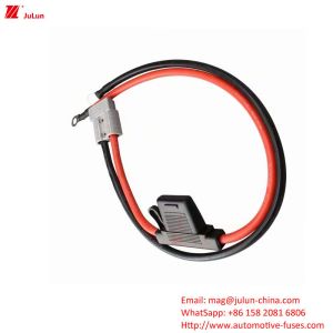 Automotive Fuse/Fuse Holder In Line With EU UL Standard, Rated Voltage 32V For