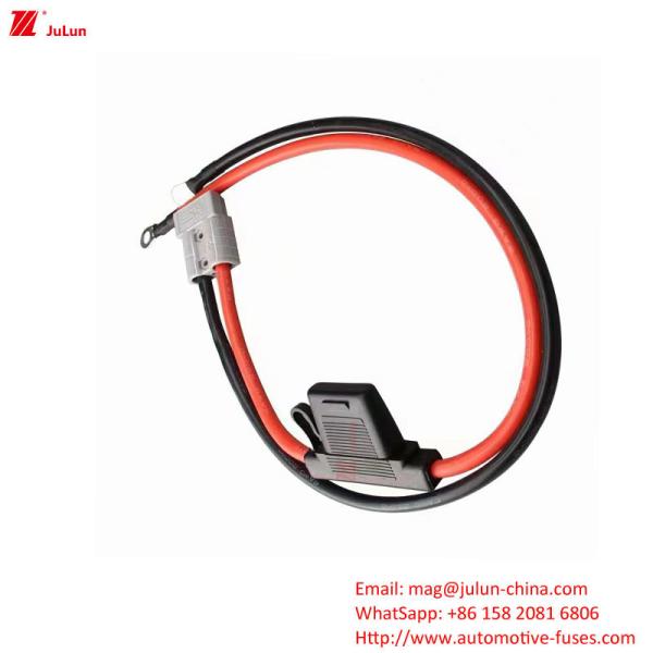 Automotive Fuse/Fuse Holder In Line With EU UL Standard, Rated Voltage 32V For