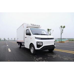 Geely Energy Refrigerated Delivery Van Engine Capacity 4L Small Refrigerated