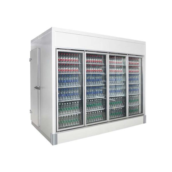 7500L R404 Commercial Display Freezer Multi Glass Door Walk In Cold Storage