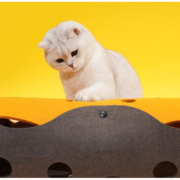 Amazon Big Cat Tunnels For Indoor Cats Interactive Pet Puppies