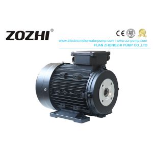 Three Phase 1400RPM IE3 24mm Hollow Shaft Induction Motor